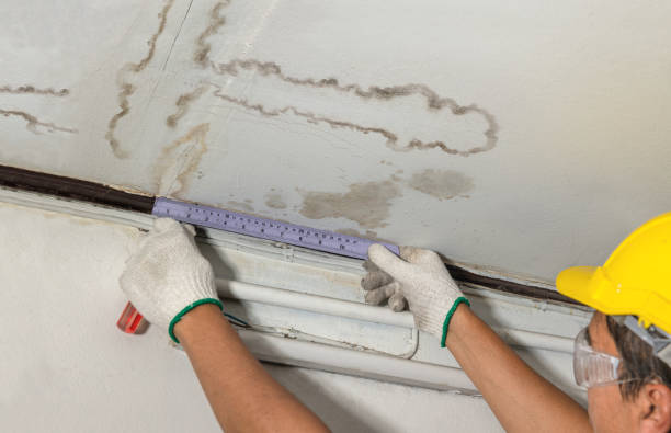 Reliable Mold Remediation contractor in Santa Clara, UT by Water Damage Irwin